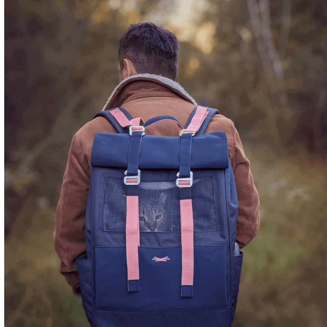 Comment nettoyer et enlever l’odeur d’urine de chat dans un sac ?