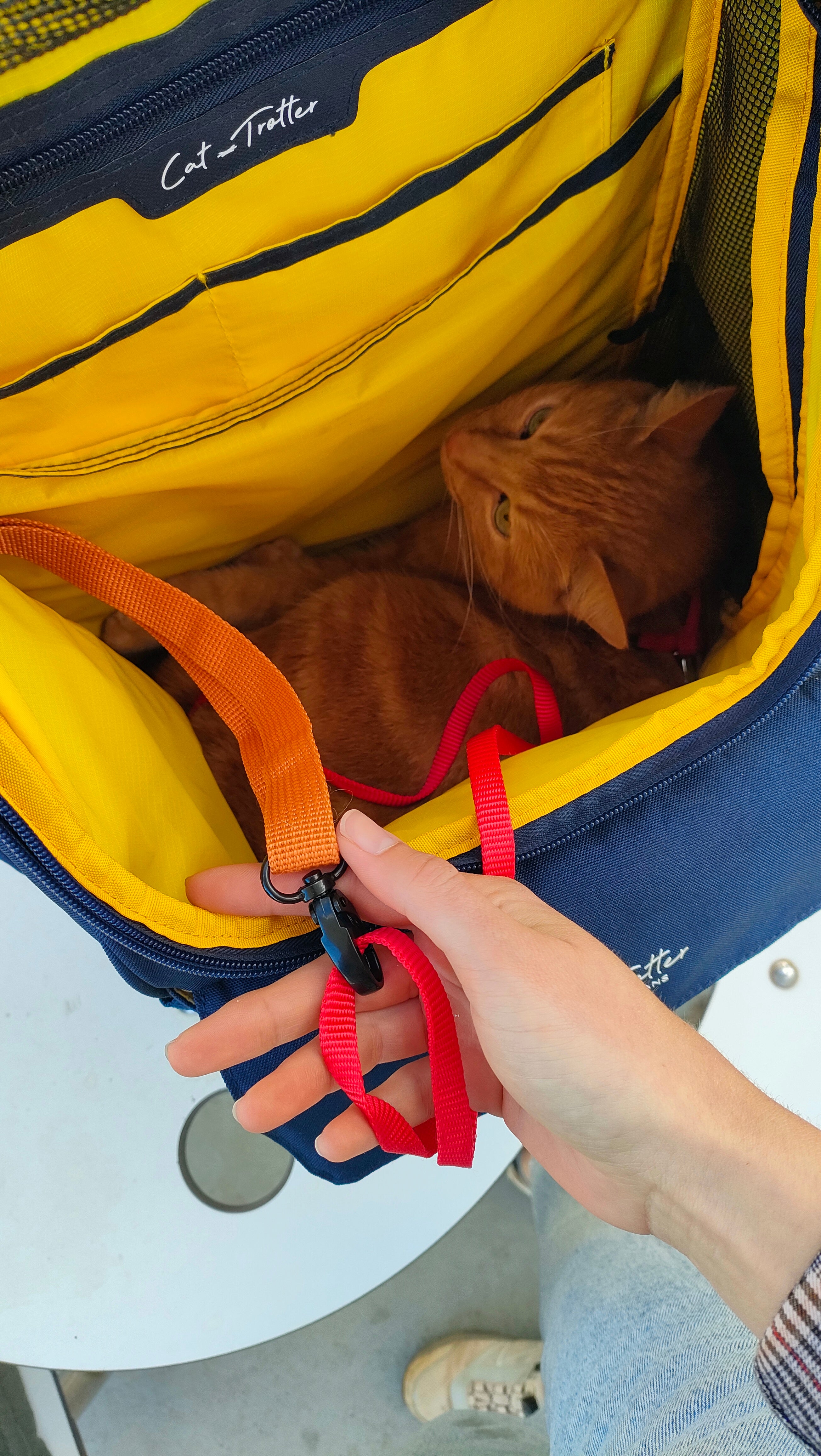 Grand sac pour chat