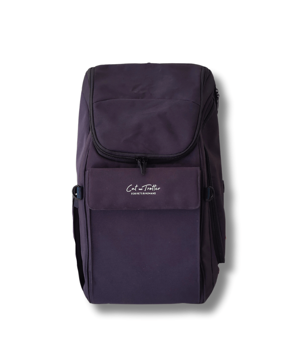 Se balader avec son chat