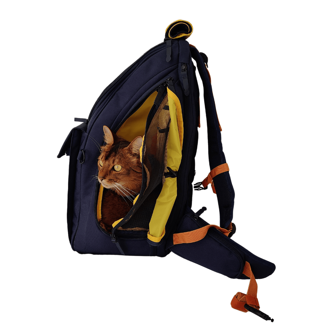 sac voyage chat